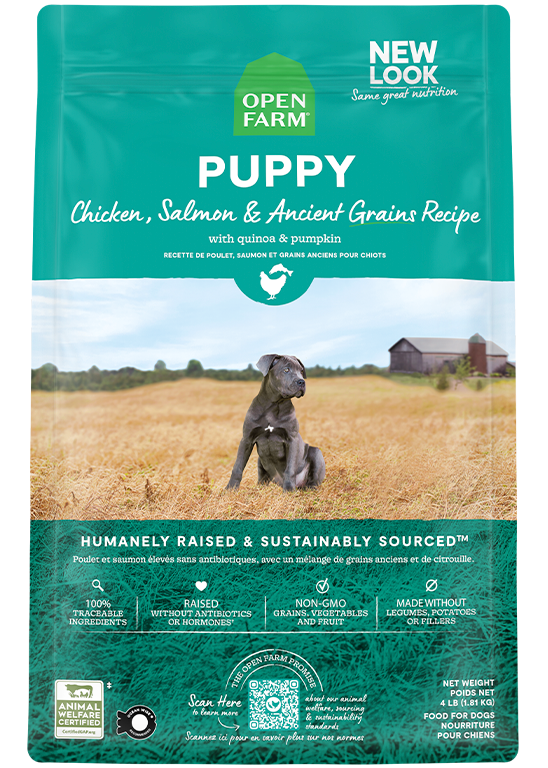 Ancient Grains High-Protein Puppy Food Best Buy