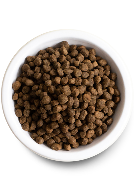 Ancient Grains High-Protein Puppy Food Best Buy