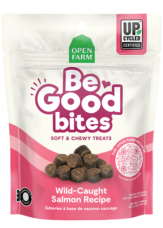 Be Good Bites Wild-Caught Salmon Recipe Treats Free shipping