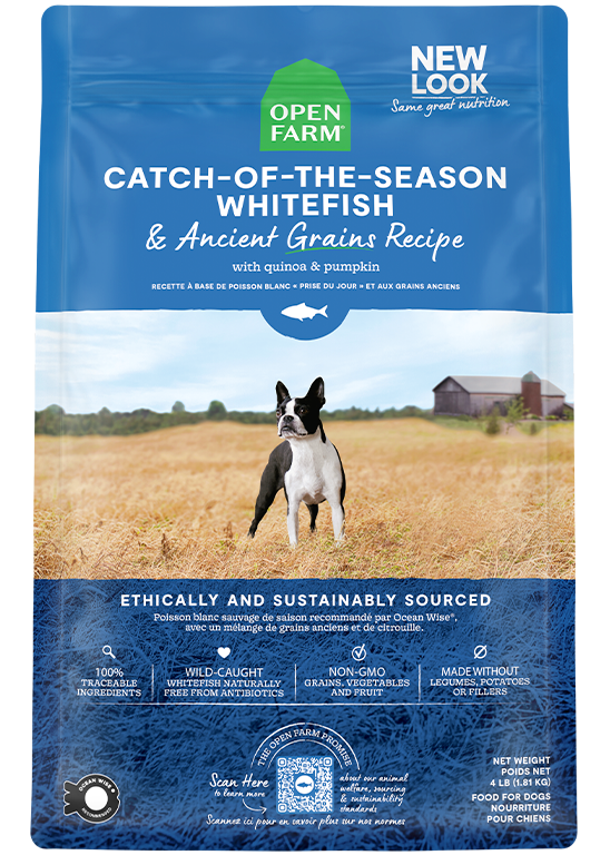 Catch-of-the-Season Whitefish & Ancient Grains Dry Dog Food Same Day Delivery