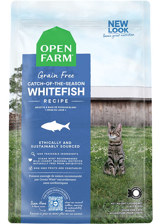 Catch-of-the-Season Whitefish Dry Cat Food Best Seller