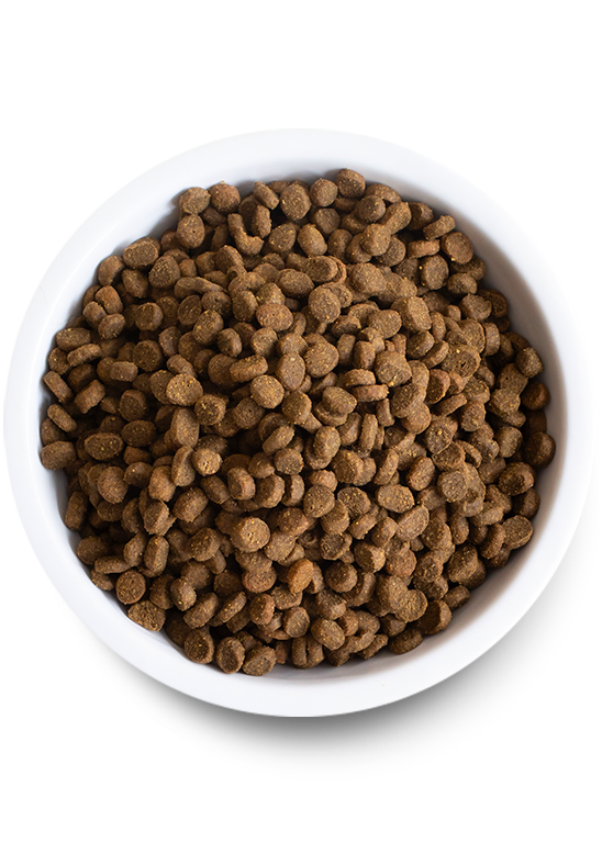 Catch-of-the-Season Whitefish Dry Cat Food Best Seller