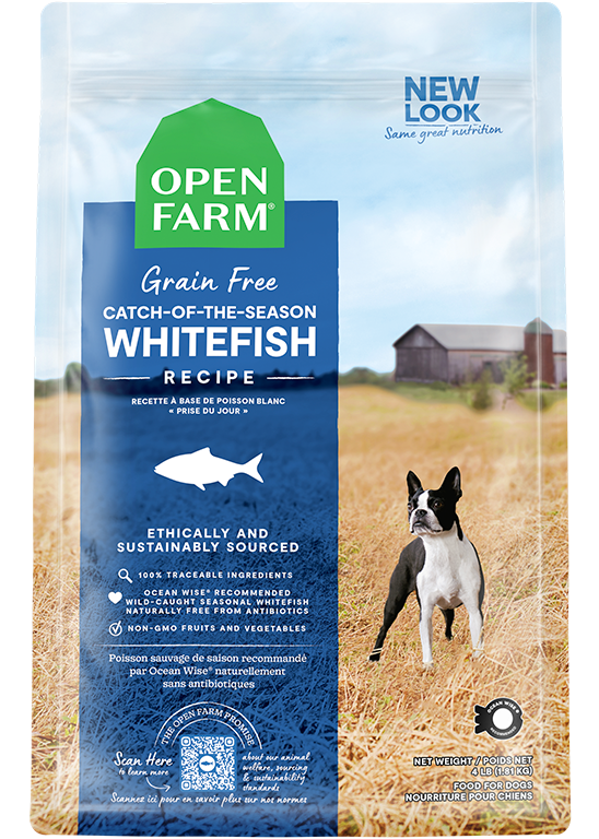 Catch-of-the-Season Whitefish Grain-Free Dry Dog Food New Arrival