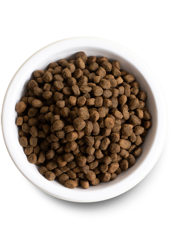 Catch-of-the-Season Whitefish Grain-Free Dry Dog Food New Arrival