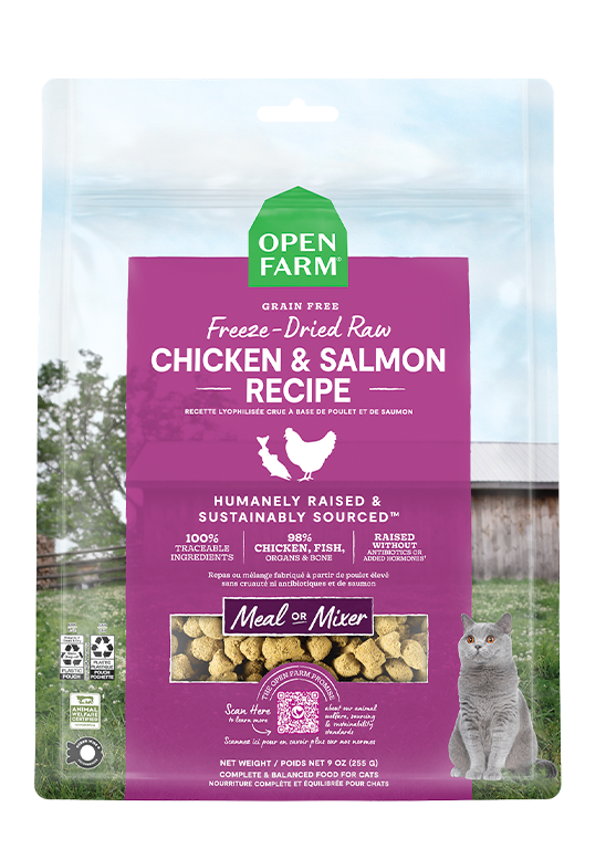 Chicken & Salmon Freeze Dried Raw Cat Food Same Day Delivery