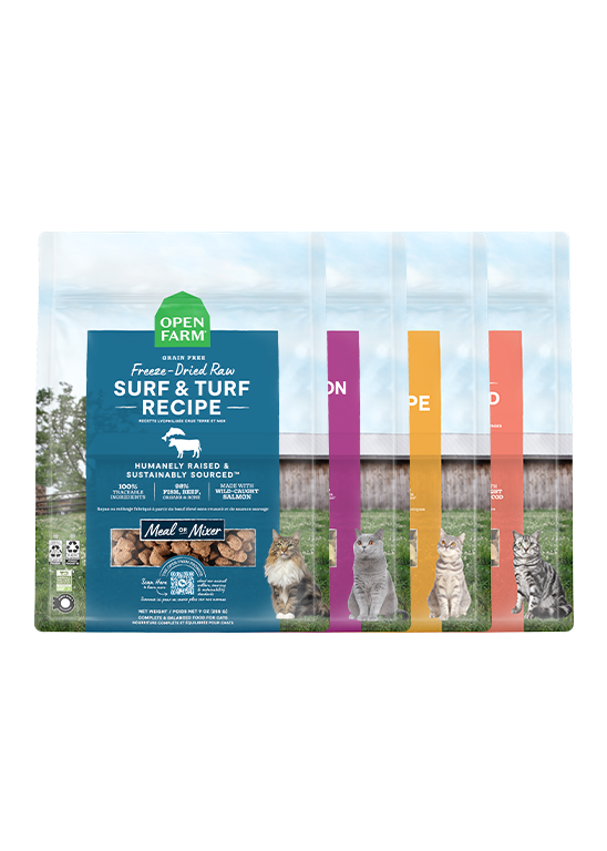 Freeze Dried Raw Variety Pack for Cats New Arrival