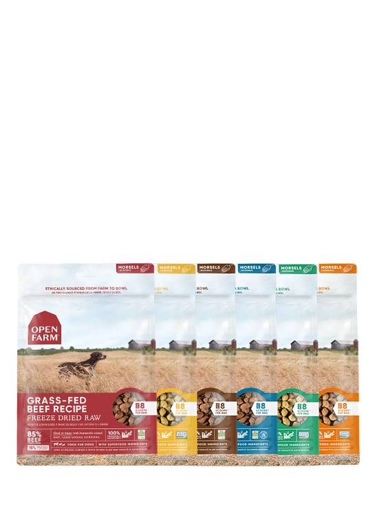 Freeze Dried Raw Variety Pack For Sale