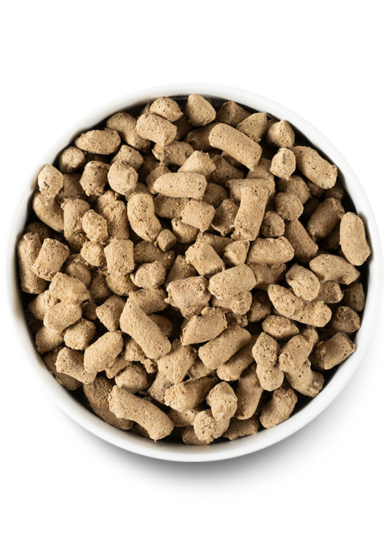 Freeze Dried Raw Variety Pack For Sale