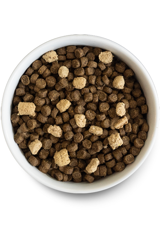 Front Range Ancient Grains RawMix for Dogs On Sale