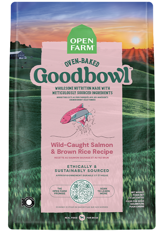 Goodbowl™ Wild-Caught Salmon & Brown Rice Recipe for Dogs On Sale