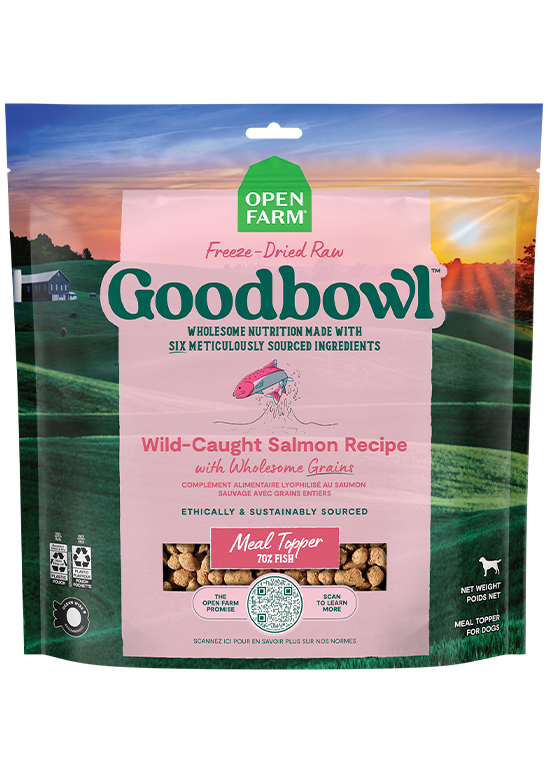 Goodbowl™ Wild-Caught Salmon Freeze Dried Raw Topper Free shipping