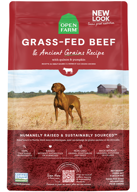 Grass-Fed Beef & Ancient Grains Dry Dog Food New Arrival