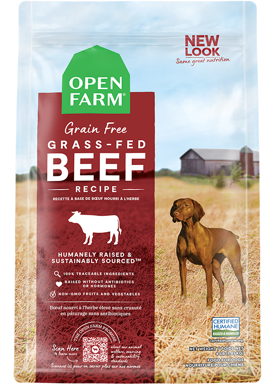 Grass-Fed Beef Grain-Free Dry Dog Food On Sale