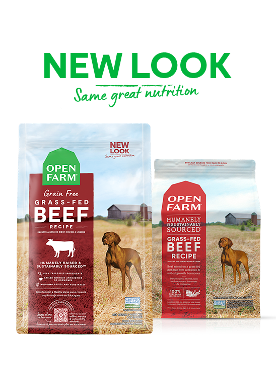 Grass-Fed Beef Grain-Free Dry Dog Food On Sale