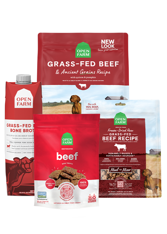 Grass-Fed Goodness Bundle Same Day Delivery