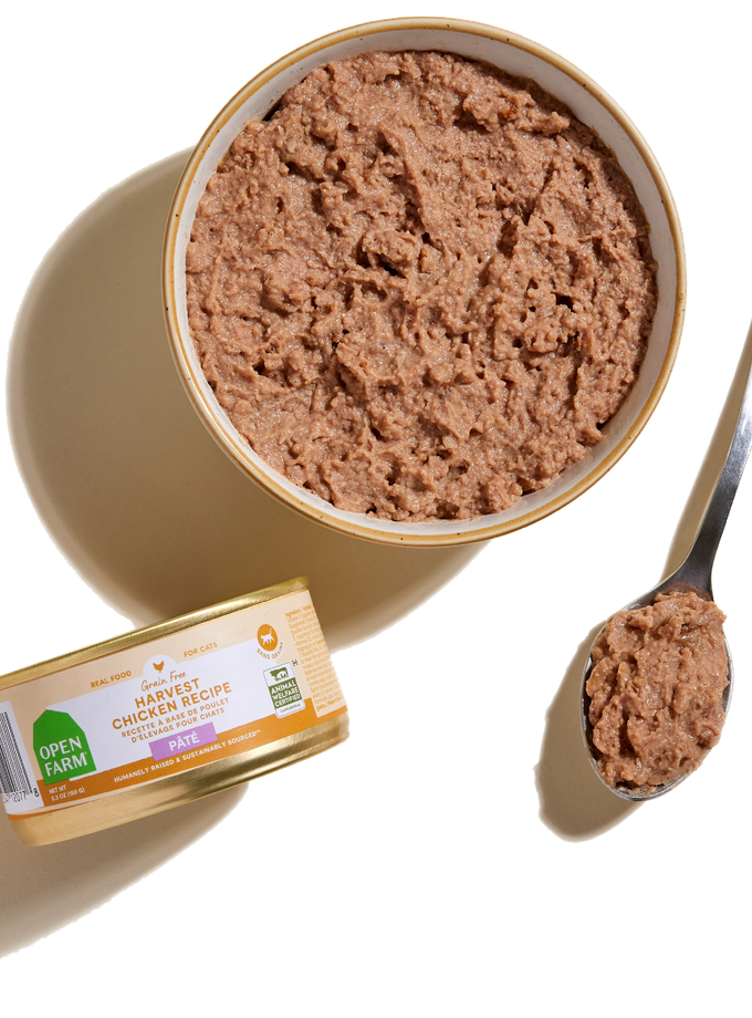 Harvest Chicken Pâté for Cats Best Price