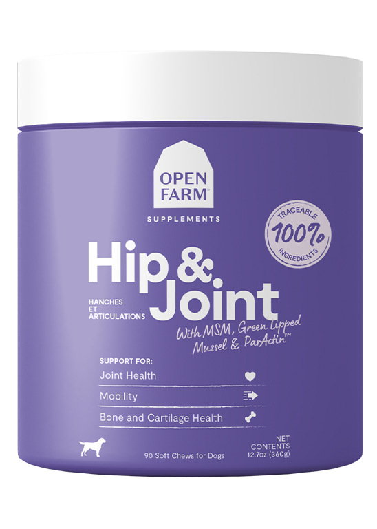 Hip & Joint Health Supplement Chews for Dogs Best Buy