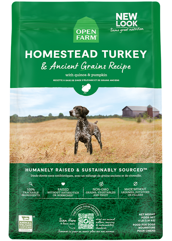 Homestead Turkey & Ancient Grains Dry Dog Food New Arrival