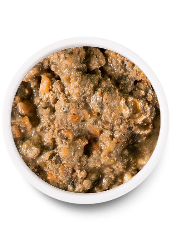 Homestead Turkey Rustic Stew Wet Dog Food New Arrival