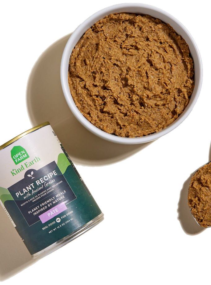 Kind Earth Plant Pâté with Ancient Grains for Dogs High Quality