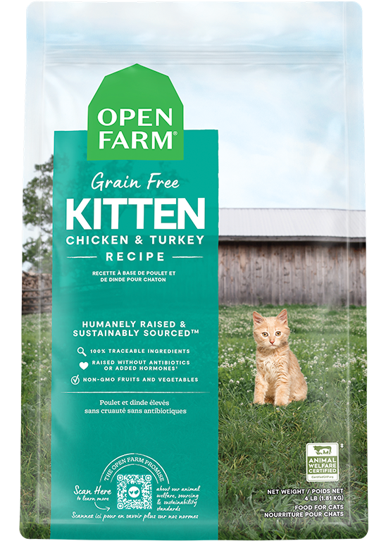 Kitten Grain-Free Dry Cat Food New Arrival