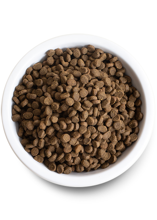 Kitten Grain-Free Dry Cat Food New Arrival