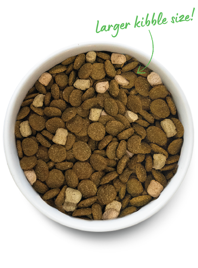 Large Breed Grain-Free Rawmix for Dogs Best Buy