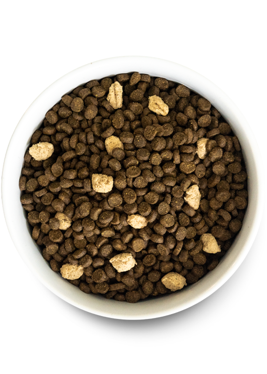 Open Prairie Grain-Free RawMix for Cats Best Buy