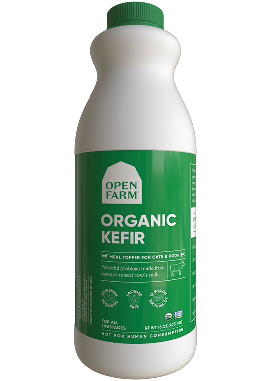 Organic Grass-Fed Cow Milk Kefir For Cats High Quality