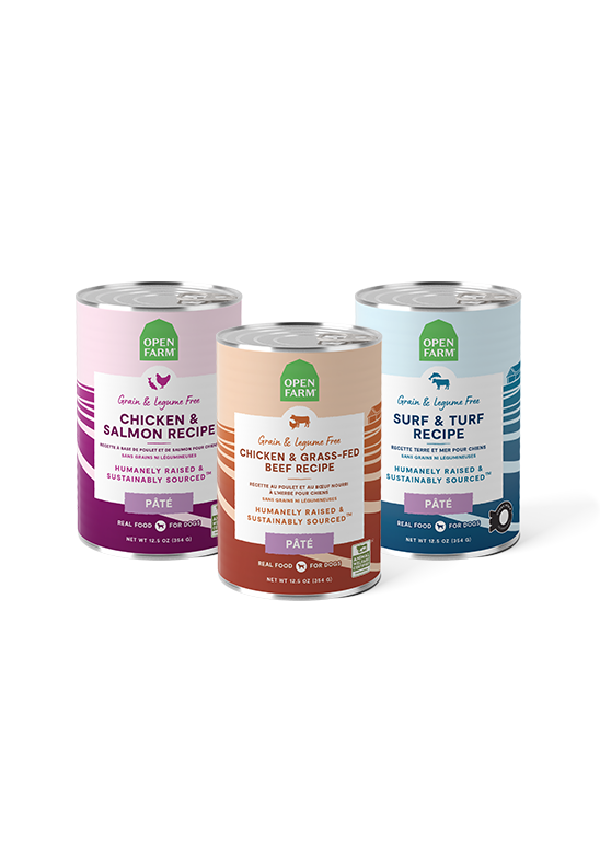 Pâté Variety Pack for Dogs Best Price