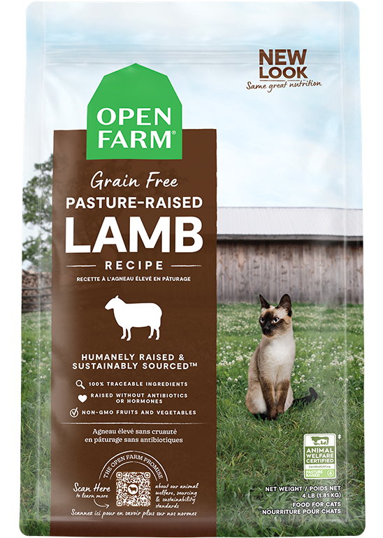 Pasture-Raised Lamb Dry Cat Food Same Day Delivery