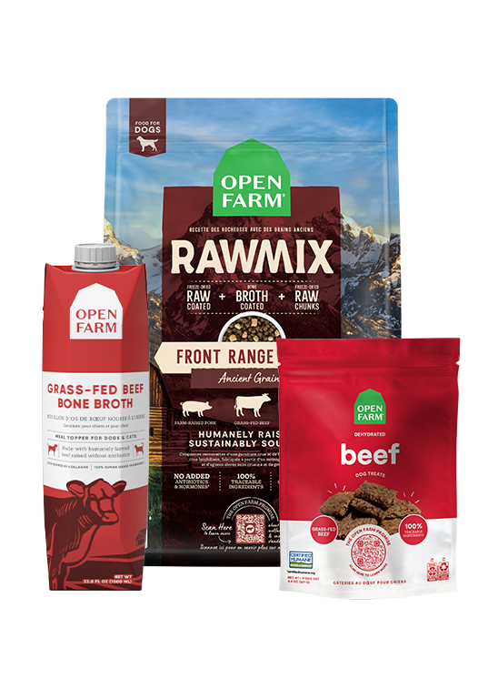 RawMix Plus Bundle for Dogs For Sale