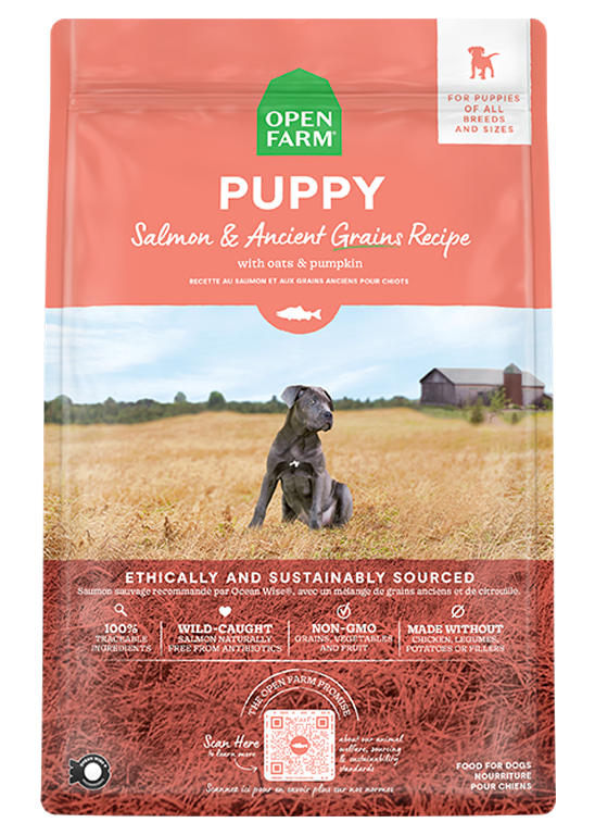 Salmon & Ancient Grains Puppy Food On Sale