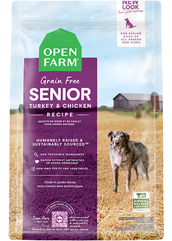 Senior Grain-Free Dry Dog Food On Sale