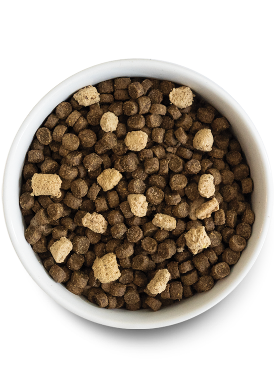 Tide & Terrain Ancient Grains Rawmix for Dogs Best Price