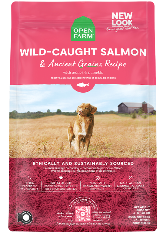 Wild-Caught Salmon & Ancient Grains Dry Dog Food Best Seller