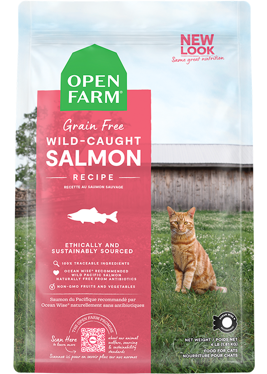 Wild-Caught Salmon Dry Cat Food Same Day Delivery