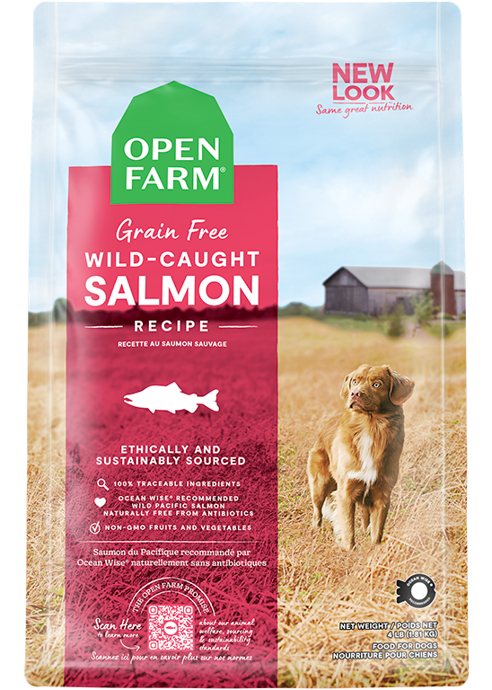 Wild-Caught Salmon Grain-Free Dry Dog Food Free shipping